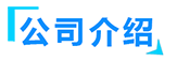 91视频链接入口厂家简介